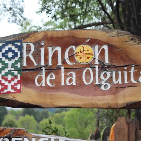 El Rincon De La Olguita Villa Curacautin Bagian luar foto